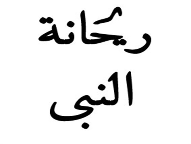 افتتاح شعبه «ریحانة النبی» دارالقرآن اسلامشهر