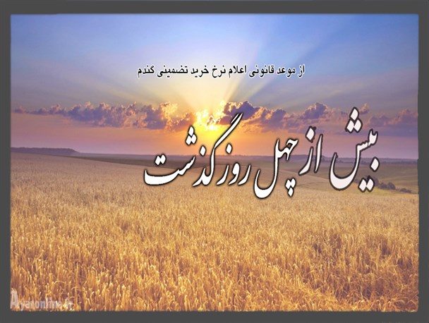 کشاورزان همچنان در سوگ بی پولی/ دولت مردان در هفته دولت کشاورزان را دریابند