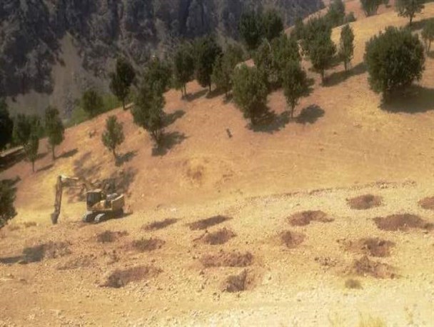 شهرستان اردل ظرفیت بالایی در زمینه احداث و توسعه باغات دارد