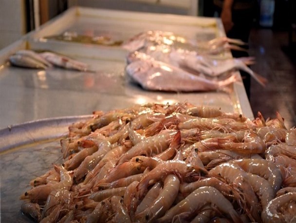 صیادان بوشهری نیازمند حمایت جدی مسئولان/ قیمت هر کیلو میگو به ۱۶۰ هزارتومان رسید