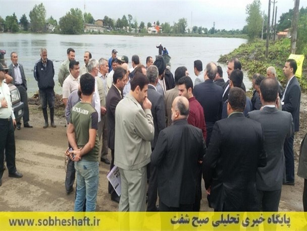 جمع آوری «سنبل آبی» از آب بندان ملاسرای شفت به پایان رسید+تصاویر