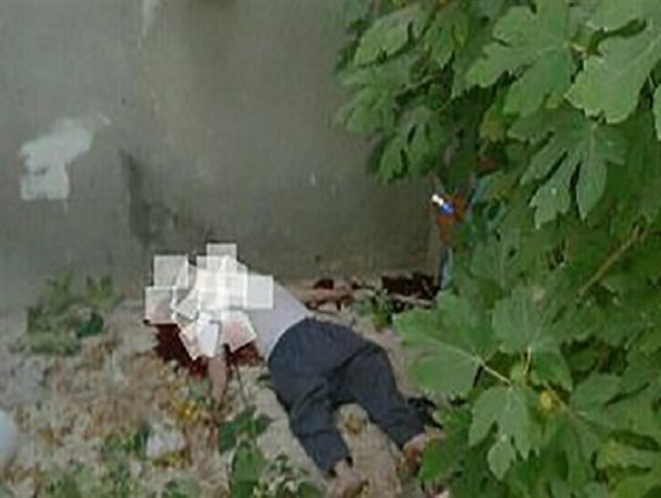 مرگ مرد بجنوردی بر اثر سقوط از درخت گردو