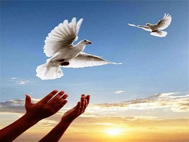 ۱۷۳ زندانی جرائم غیر عمد و مالی از زندان آزاد شدند