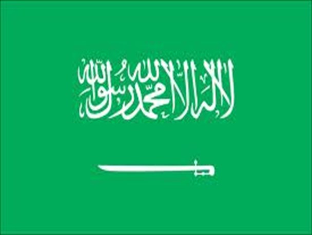 خیزش عمومی و جنگ قدرت، دو چالش عمده ال سعود