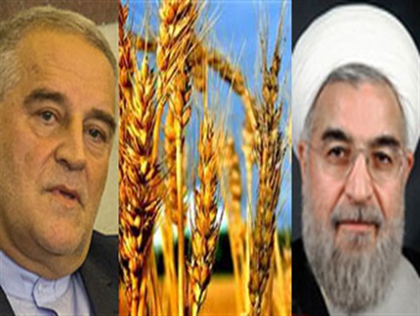 تحقیق و تفحص از غلّه گلستان در آستانه سفر رئیس جمهور/ چرا گندم بیت المال را تحویل نمی دهند !
