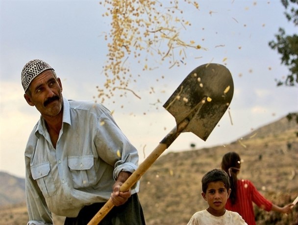 دولت، ما را شرمنده ی خانواده هایمان کرده است