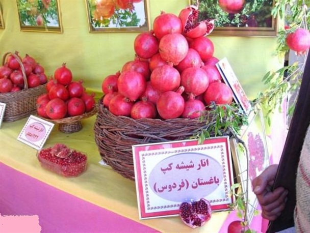 قیمت انار در بازار مطلوب است/ صندوق توسعه کشاورزی دربخش پرداخت تسهیلات حمایتی به تعاونیها ورود پیدا می کند