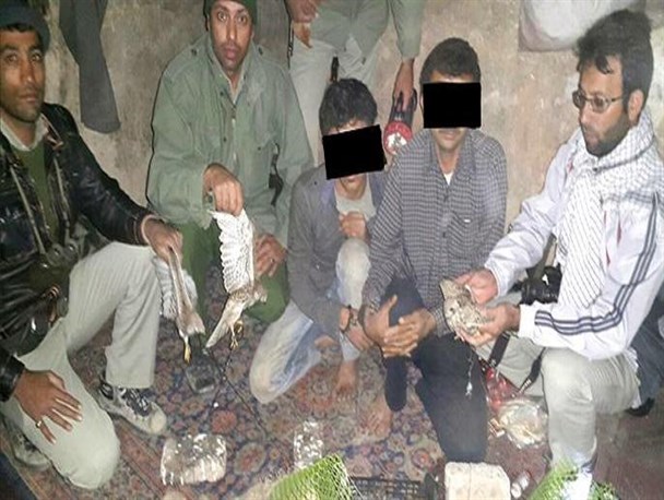 باند صید و قاچاق پرندگان شکاری در سرخس متلاشی شد+ تصاویر