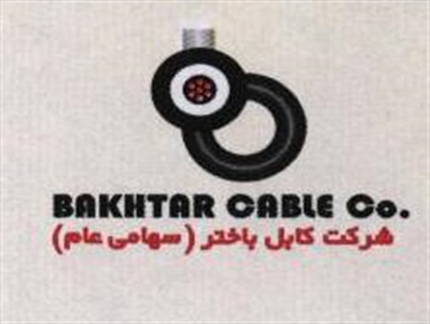 در راستای تحقق منویات امام خامنه ای گام برمی داریم/جلوه عملی اقتصاد مقاومتی را با تولید کابل وارداتی نشان دادیم