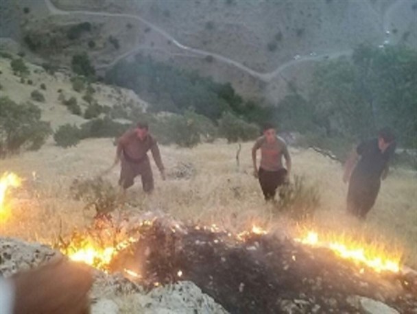 اینبار آتش سوزی جنگل‌های شاهو در فصل زمستان/ آتش هنوز مهار نشده است