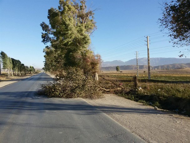 خسارتهای بسیار در سرپلذهاب ارمغان بادهای موسمی فصل هزار رنگ/ از قطعی برق روستاها تا خساراتی که واحدهای دامی متحمل شده است