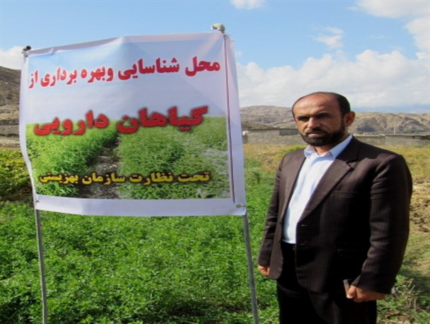 اجرای ۲۵ طرح اشتغالزایی  بهزیستی با رویکرد اقتصاد مقاومتی در شهرستان لنده