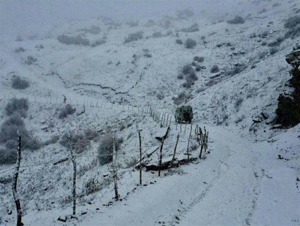 روستای فیلبند آمل سفیدپوش شد +تصاویر