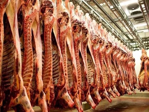گران‌شدن قیمت گوشت ربطی به افزایش نرخ بنزین ندارد