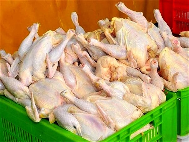 کارد به استخوان مرغ‌دار رسید/ مرغ 36 هزار تومانی نتیجه نبود نظارت و عدم‌تأمین نهاده