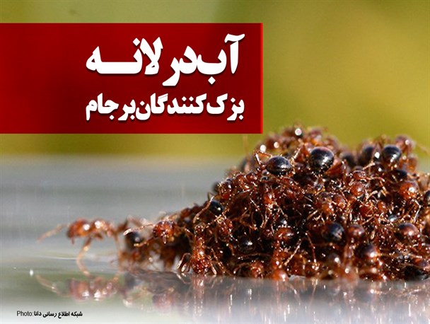 فتونیوز/آب در لانه بزک کنندگان برجام