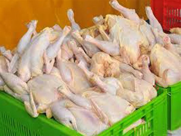 مرغداران حاضر به فروش مرغ به قیمت مصوب دولتی نیستند/ افزایش ۷۵ درصدی شکایت‌های مردمی در استان زنجان