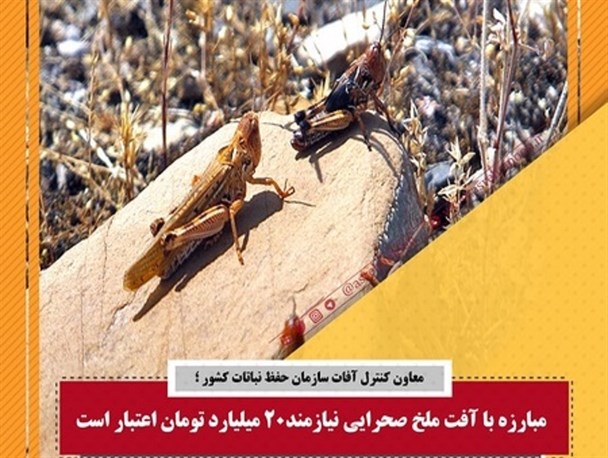 جنوب شرق کشور در خطر حمله ملخ های صحرایی است