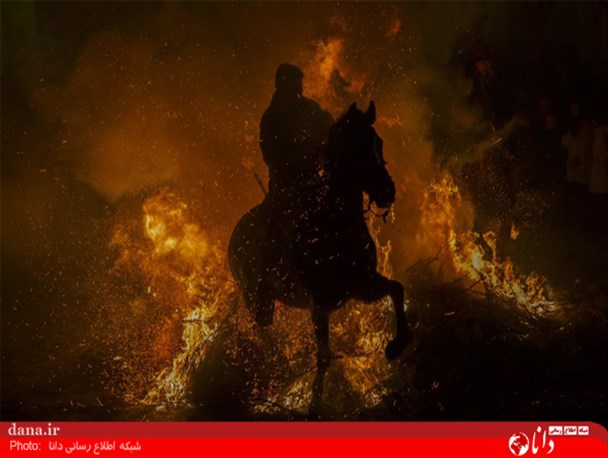گزارش تصویری/برترین تصاویر هفته