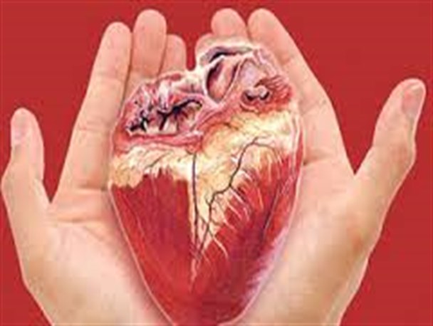 مرتضی در انتظار نگاه نیکوکاران زنجانی است