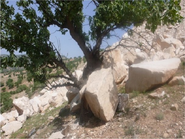 تصاویر تخریب منابع طبیعی توسط معادن سنگ شهرستان چگنی