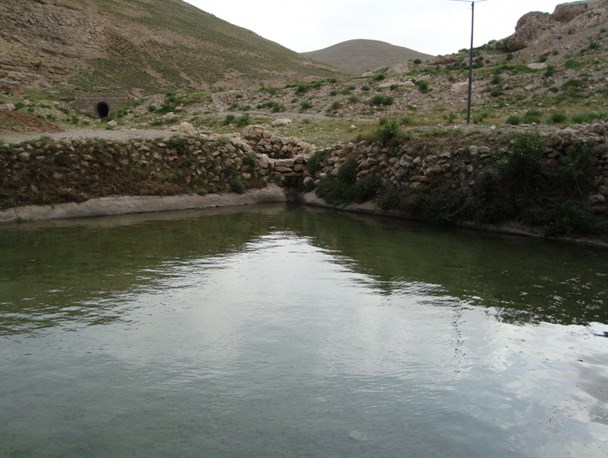از پرورش ماهی در حوضچه خانگی تا پخش آن در برخی استان های کشور /توسعه کندوهای عسل در کنار پرورش ماهی