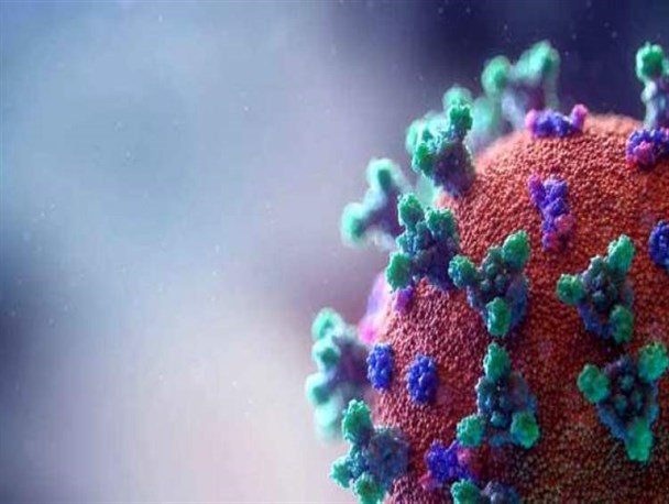 شناسایی ۵۵ مورد مبتلا به اومیکرون در چهارمحال‌وبختیاری/ آزمایشگاه تشخیص آنفولانزا در استان راه‌اندازی شد