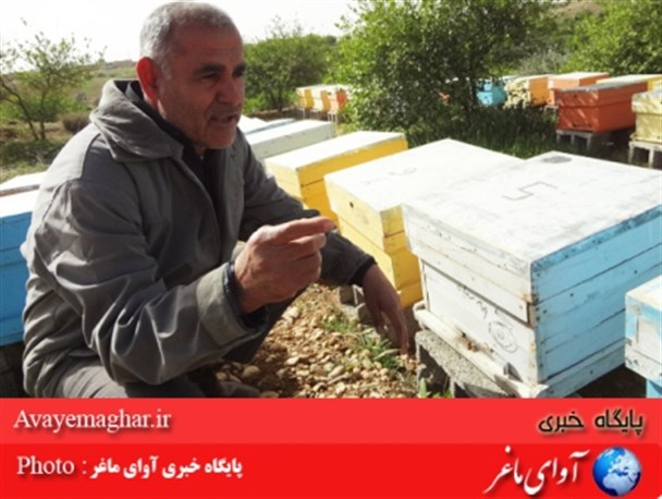 راه اندازی یک واحد زنبورداری در حومه شهر لیکک با تسهیلات اقتصاد مقاومتی بسیج+عکس