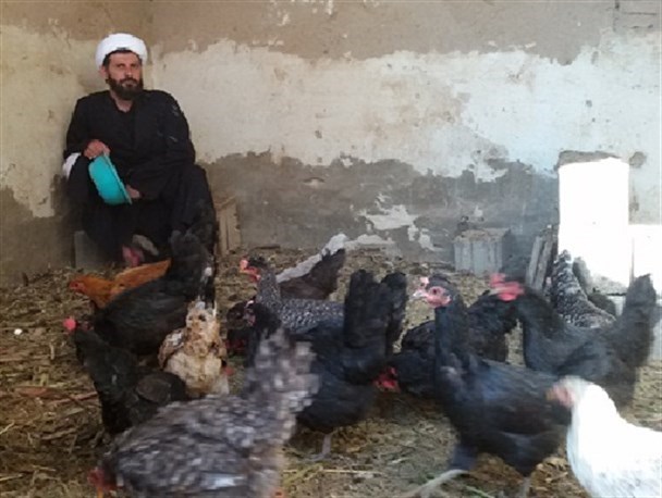 از پرورش مرغ بومی و ماهی قزل آلا تا مشوقی برای جوانان