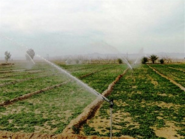 اجرای سامانه نوین آبیاری در 380 هکتار از اراضی کشاورزی