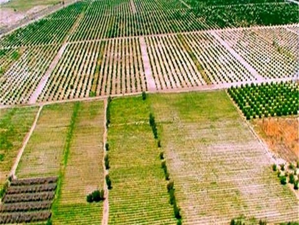 صدور سند کاداستر برای 26 میلیون هکتار از اراضی کشور