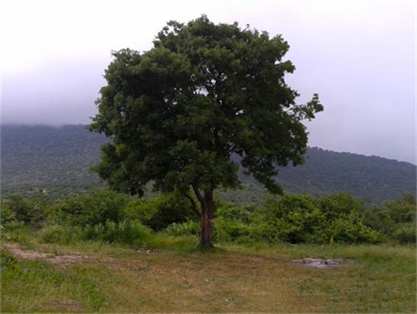 ییلاقات روستای دشت به روایت تصویر