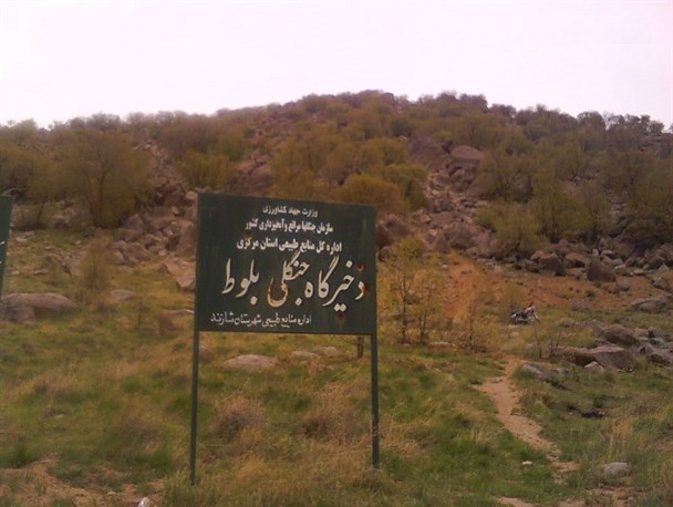 ذخیره گاه جنگلی بلوط شهرستان شازند