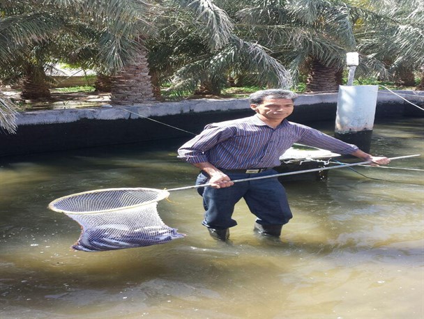 پشتکار شهروند نرماشیری جلوه ای از اقتصاد مقاومتی را به نمایش گذاشت/پرورش ماهی در دل کویر