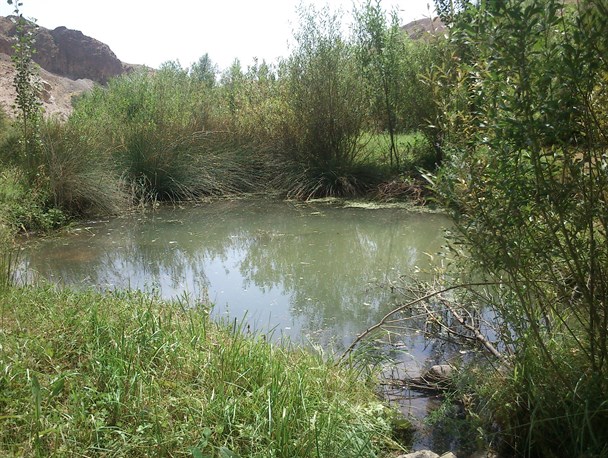 مبارزه آب و صخره  در طبیعت زیبای در بند سراب