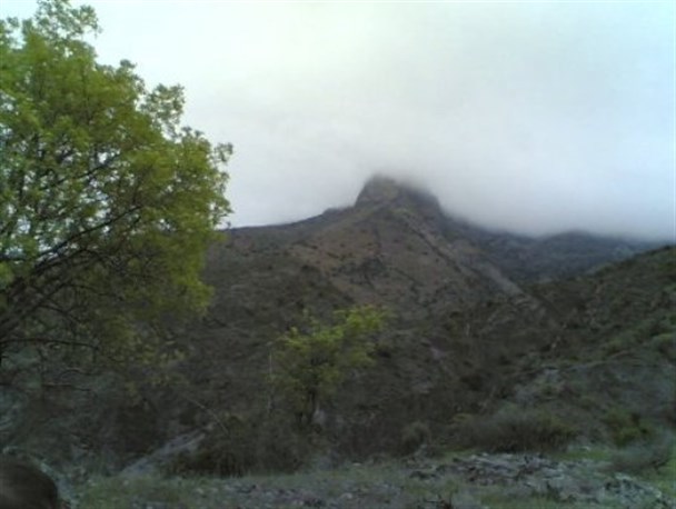 طبیعت زیبای بهاری شهرستان طارم+ تصاویر