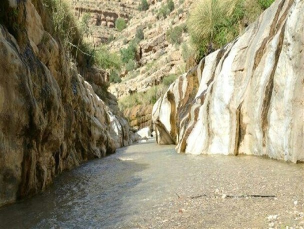 پهنابه نی ریز به روایت تصویر