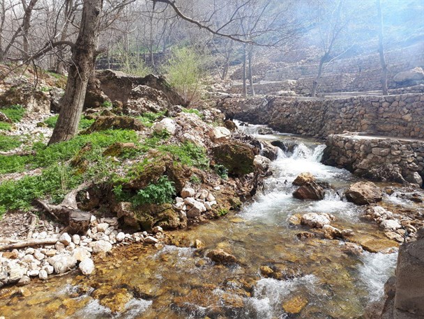 تصاویری از طبیعت زیبای کاوات در روستای شبانکاره