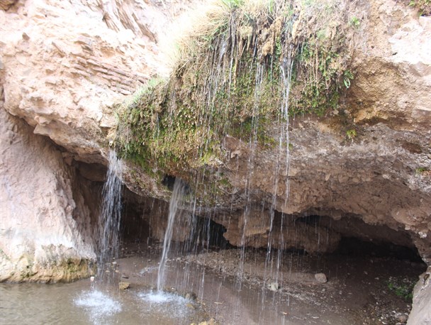 طبیعت زیبای بهاری دره علی آباد دامن در شهرستان رشتخوار+ تصاویر