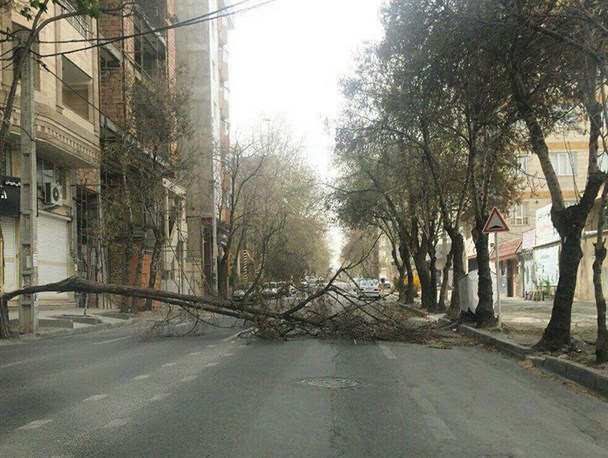 تندباد در آذربایجان‌غربی ۴ میلیارد تومان خسارت بر جای گذاشت/ اعلام خسارت دقیق تا ۷۲ ساعت آینده