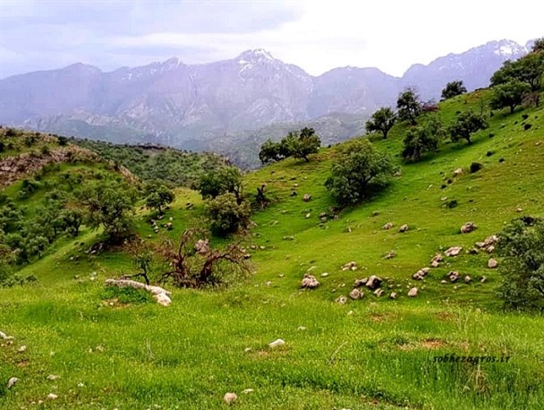 تلچگاه؛ تاج طبیعت کهگیلویه و بویراحمد
