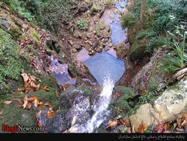 تبدیل کشاورز به گارسون هنر است؟