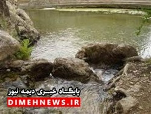 دانشجویان فیروزکوهی منطقه گردشگری شاه چشمه شهرستان را پاکسازی کردند