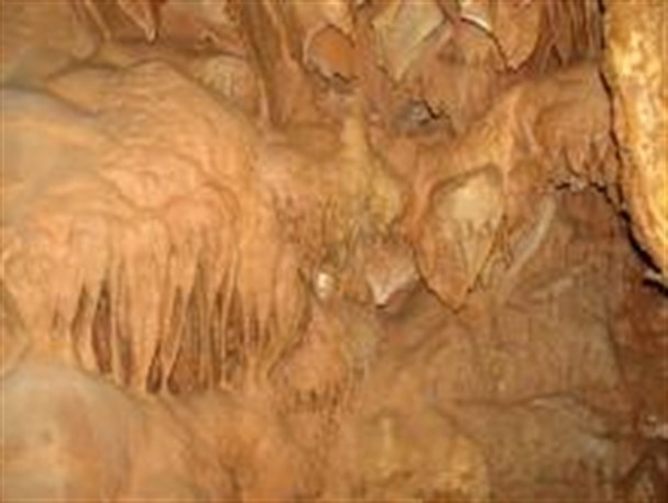 ماران غاری زیبا درشهرستان کنگاور