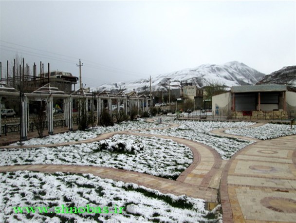 بارش برف بهاری اشنویه را فراگرفت + تصاویر
