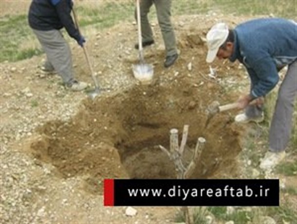 سه حلقه چاه غیر مجاز در شهرستان فراهان پر و مسلوب المنفعه شد