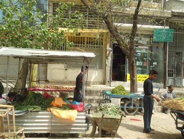بازار داغ گیاهان کوهی در اورامانات+تصاویر