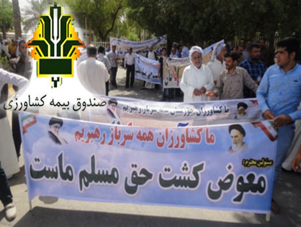 نارضایتی کشاورزان لنده ای از بیمه محصولات کشاورزی