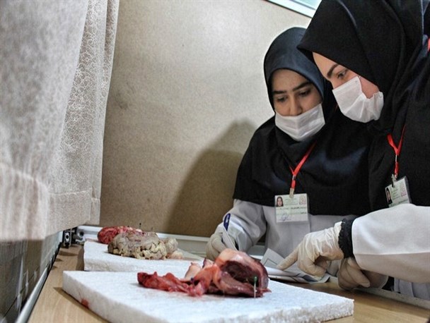 مسابقات علمی زیست شناسی فارس به میزبانی ممسنی برگزار شد