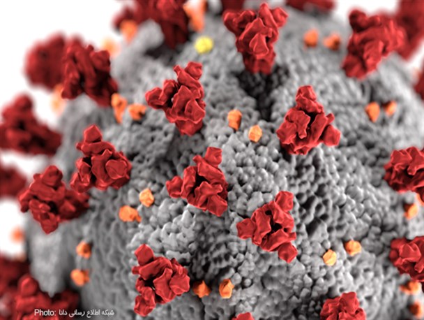 ویروس کرونا زیر نور خورشید بیش از ۲ دقیقه زنده نمی‌ماند!